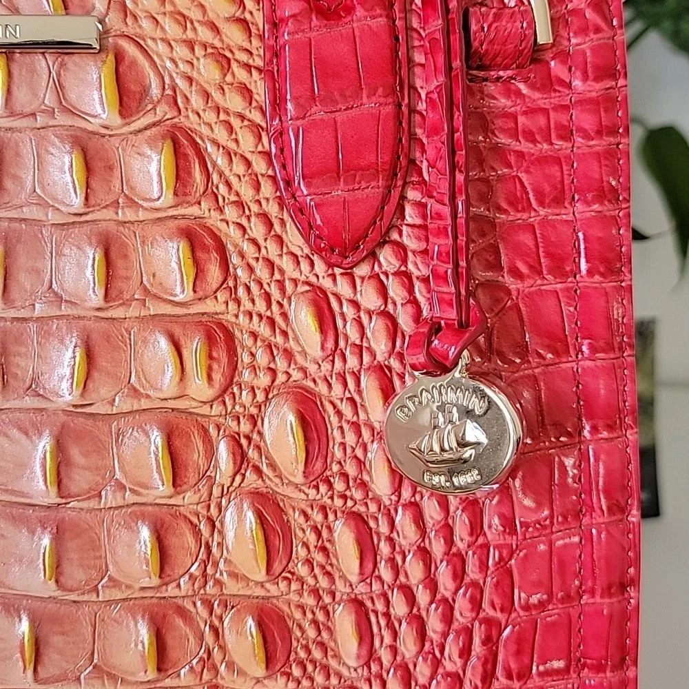 NWT🌺 Brahmin Small Caroline Infusion Ombre Melbourne Leather bag